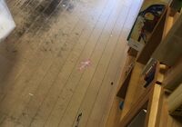 床試験前①