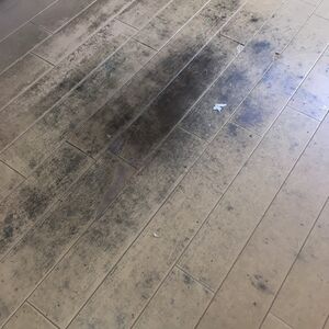 床試験前②
